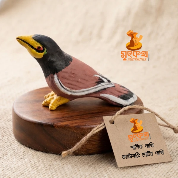 শালিক পাখি